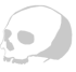 skull icon gray